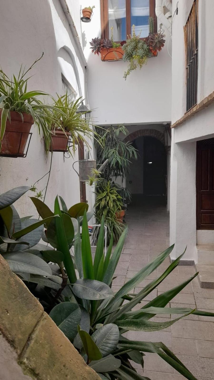 Apartamento En El Casco Historico Tarifa Extérieur photo